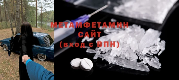 индика Елабуга