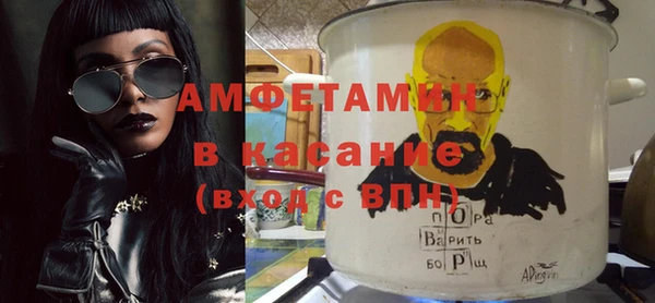индика Елабуга