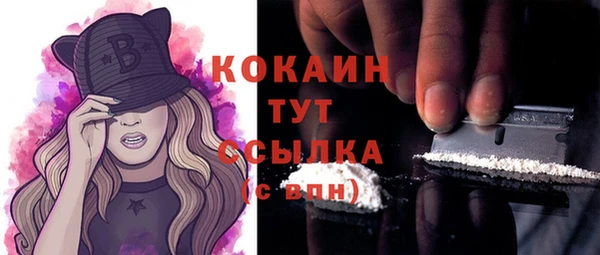индика Елабуга