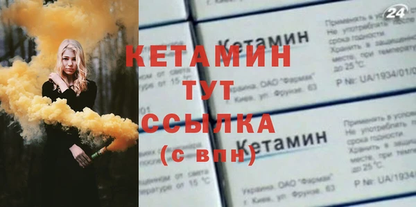 индика Елабуга