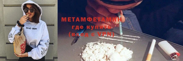 индика Елабуга
