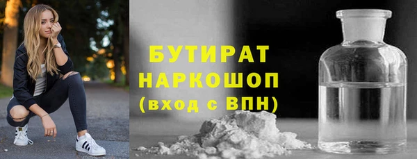 индика Елабуга