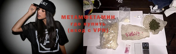 индика Елабуга