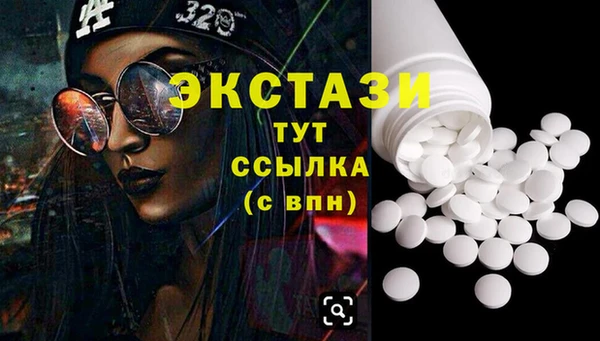 индика Елабуга