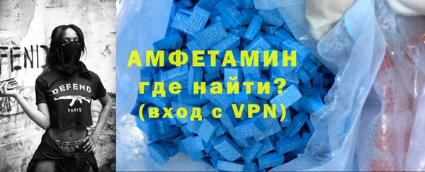 индика Елабуга