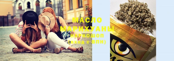 индика Елабуга