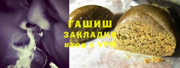 индика Елабуга