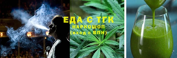 индика Елабуга